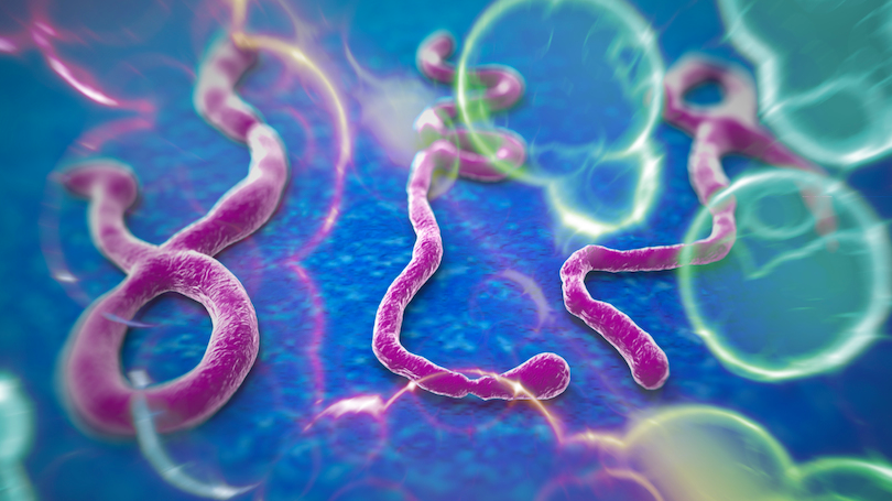 Sundhedsstyrelsen udsender retningslinjer om præhospital håndtering af ebola-patienter